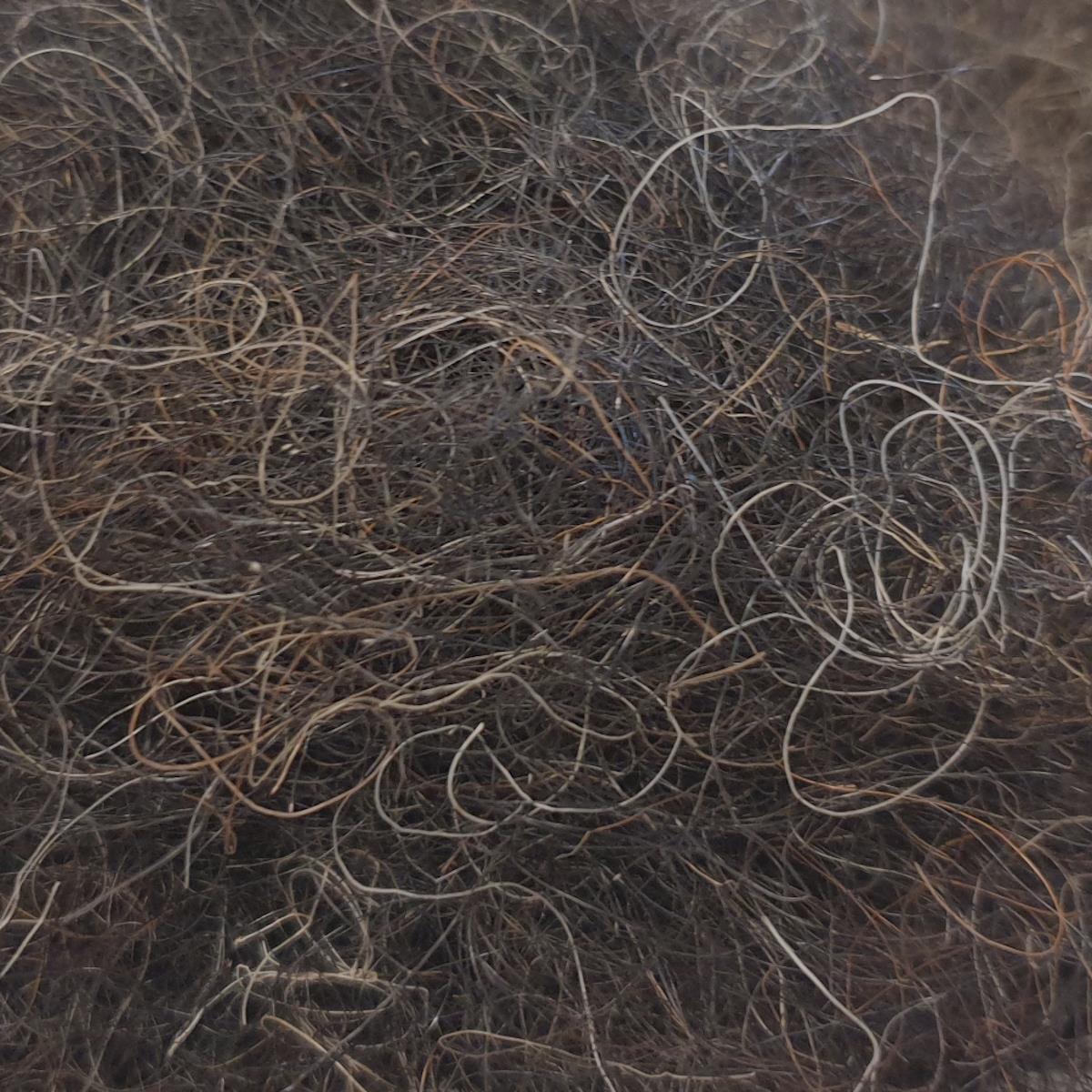 Rosshaar lose, kurzes Schweifhaar & Mähne, VE 1 kg, UV Sack 25 Rosshaar lose, kurzes Schweifhaar & Mähne, VE 1 kg, UV Sack 25